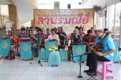 25670319-rommanee-008