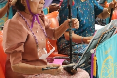 25670319-rommanee-021