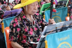 25670424-rommanee-008