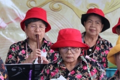 25670424-rommanee-019