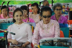 ภาพถ่าย การบรรเลงและขับร้องดนตรีไทย 
โดยชมรมข้าราชการบำนาญจังหวัดชลบุรี ครั้งที่ 64