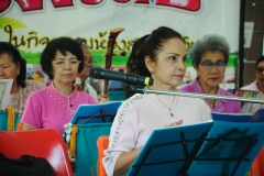 ภาพถ่าย การบรรเลงและขับร้องดนตรีไทย 
โดยชมรมข้าราชการบำนาญจังหวัดชลบุรี ครั้งที่ 64