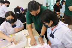 Making-dreams…little-librarians-66-79