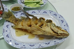 Merit-making-work18-66-16