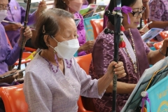 25670220-rommanee-010