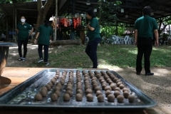 thumbs_training-plan1-76