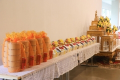 Wanthamrong-Buasri-66-11