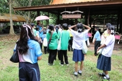 thumbs_Young-Guide-65-9