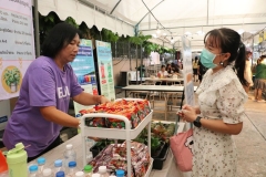 20241125-80D-recycle-20