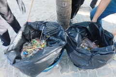  Garbage collection 2024_51