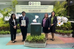 20241121-green-library-05