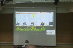 20241121-green-library-22