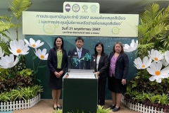 20241121-green-library-30