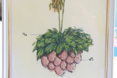 20250724-libweek-80D-132