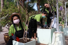 bigcleaning02-06-66-28