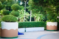 ภาพบรรยากาศกิจกรรม big-clean