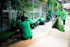 ภาพบรรยากาศกิจกรรม big-clean