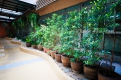 ภาพบรรยากาศกิจกรรม big-clean