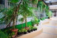 ภาพบรรยากาศกิจกรรม big-clean