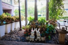 ภาพบรรยากาศกิจกรรม big-clean