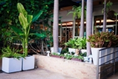 ภาพบรรยากาศกิจกรรม big-clean