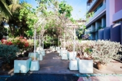 ภาพบรรยากาศกิจกรรม big-clean