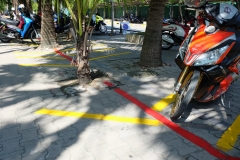 65158553_2240355832749929_2140689782831841280_o