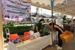 25661220-bookfair2024-006