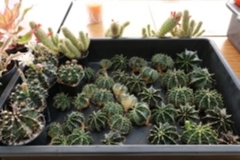 DIY-by-YOU27-07-66-51