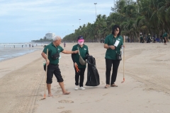 garbage-collection-66-38