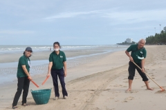 garbage-collection-66-59