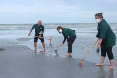 garbage-collection-66-82