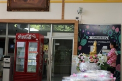 25670424-rommanee-014