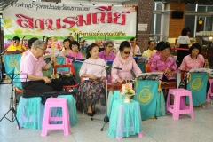 ภาพถ่าย การบรรเลงและขับร้องดนตรีไทย 
โดยชมรมข้าราชการบำนาญจังหวัดชลบุรี ครั้งที่ 64