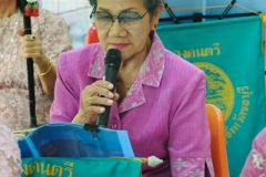 ภาพถ่าย การบรรเลงและขับร้องดนตรีไทย 
โดยชมรมข้าราชการบำนาญจังหวัดชลบุรี ครั้งที่ 64