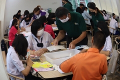 Making-dreams…little-librarians-66-28