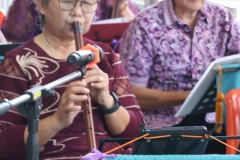 25670220-rommanee-014