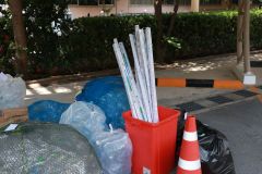 25690203-libleng-008