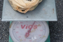 ภาพบรรยากาศกิจกรรม LIB Leng