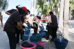25681204-event-38