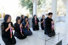 25690109-Newyear-008