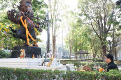 25690109-Newyear-011