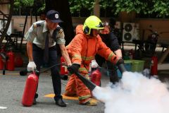 25690611-fire-131