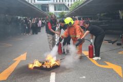 25690611-fire-135