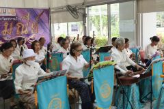 25690212-rommanee-012