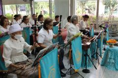 25690212-rommanee-013