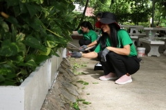 20250613-clening-25