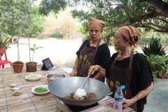 25690318-curriculum-025