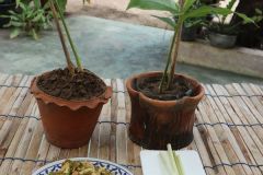 25690318-curriculum-034