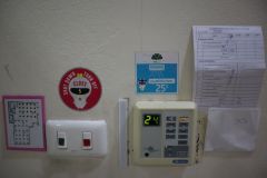 IMG_6366